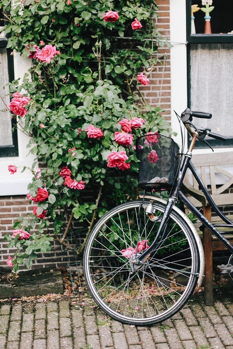 Whimsical Garden Vibes